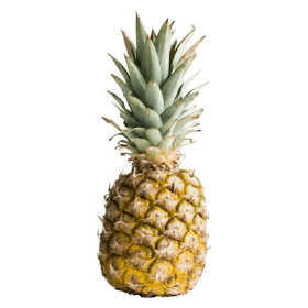 Pinapple